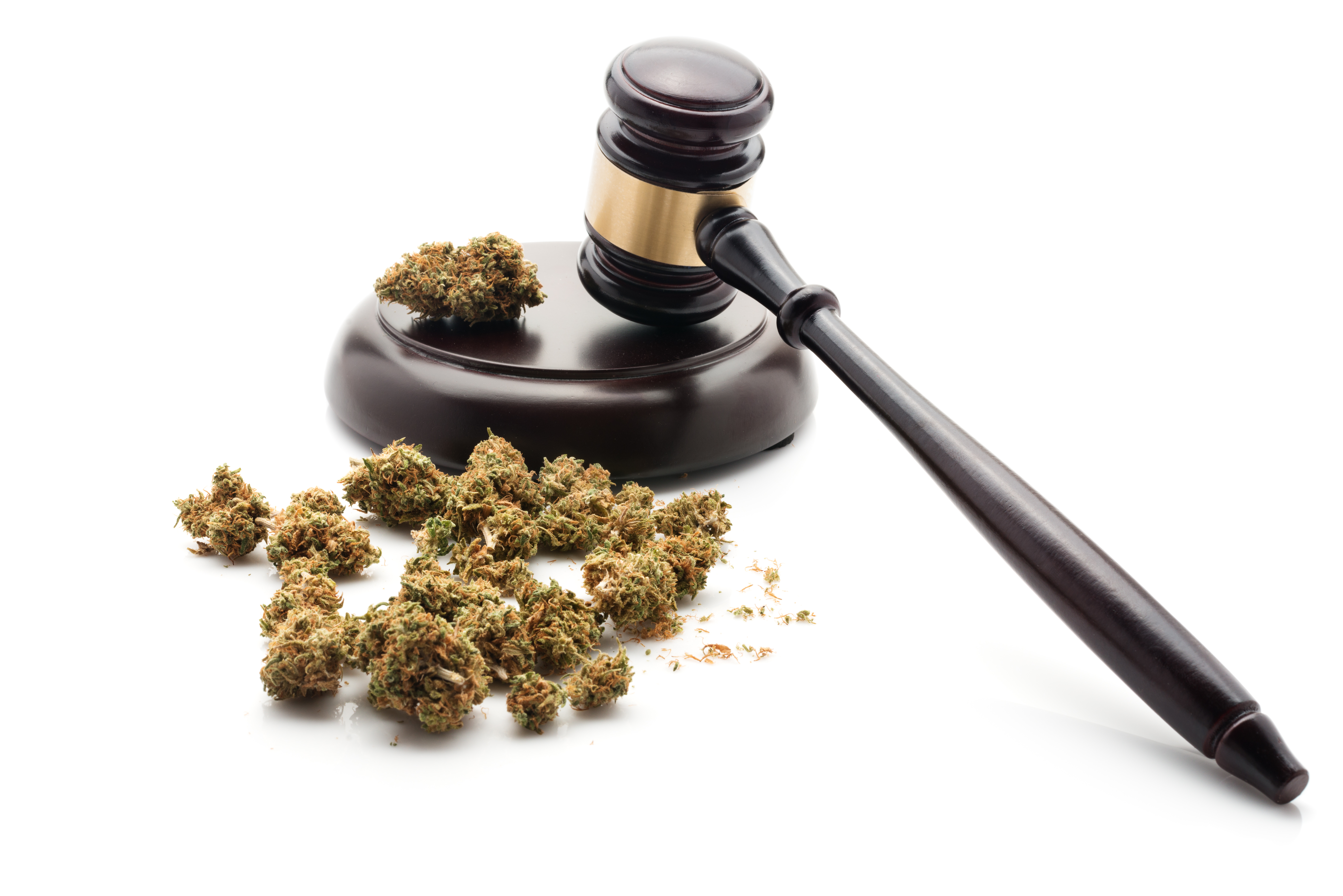 Marijuana laws in rhode island